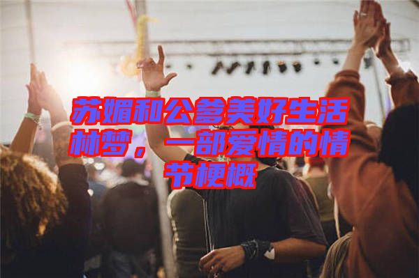 蘇媚和公爹美好生活林夢，一部愛情的情節(jié)梗概