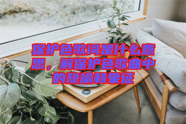 保護(hù)色歌詞是什么意思，解保護(hù)色歌曲中的隱喻和象征