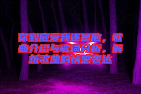 你到底愛(ài)我還是他，歌曲介紹與歌詞分析，解析歌曲的情感表達(dá)