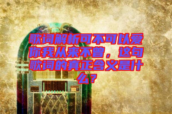 歌詞解析可不可以愛(ài)你我從來(lái)不曾，這句歌詞的真正含義是什么？