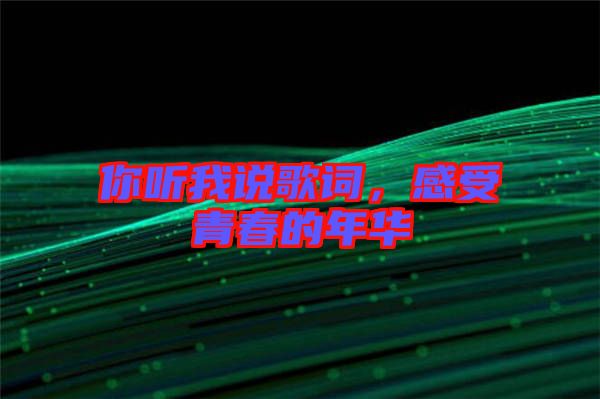 你聽我說歌詞，感受青春的年華