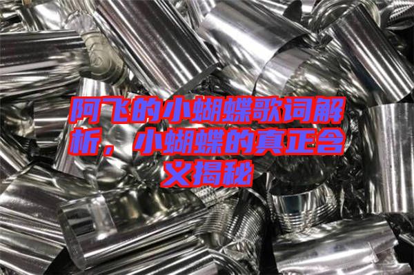 阿飛的小蝴蝶歌詞解析，小蝴蝶的真正含義揭秘