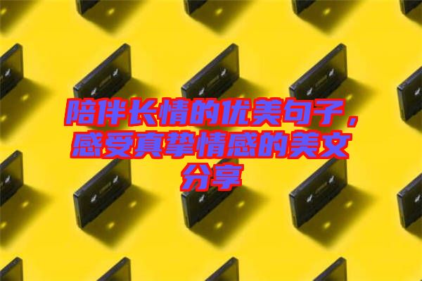 陪伴長情的優(yōu)美句子，感受真摯情感的美文分享