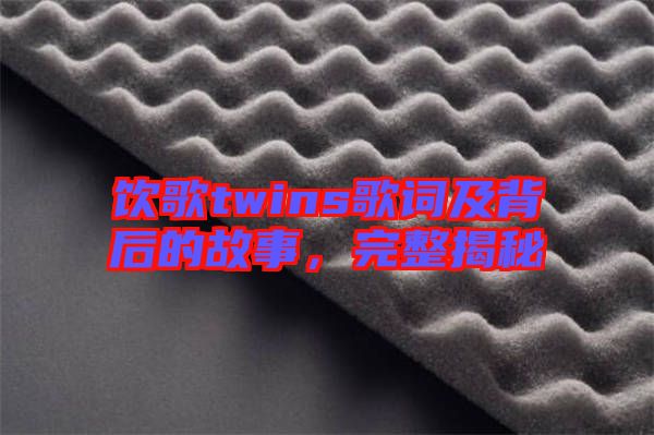 飲歌twins歌詞及背后的故事，完整揭秘