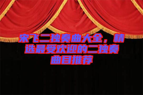 宋飛二獨(dú)奏曲大全，精選最受歡迎的二獨(dú)奏曲目推薦