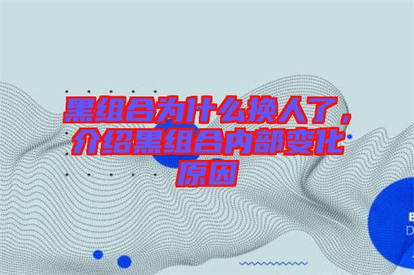 黑組合為什么換人了，介紹黑組合內(nèi)部變化原因