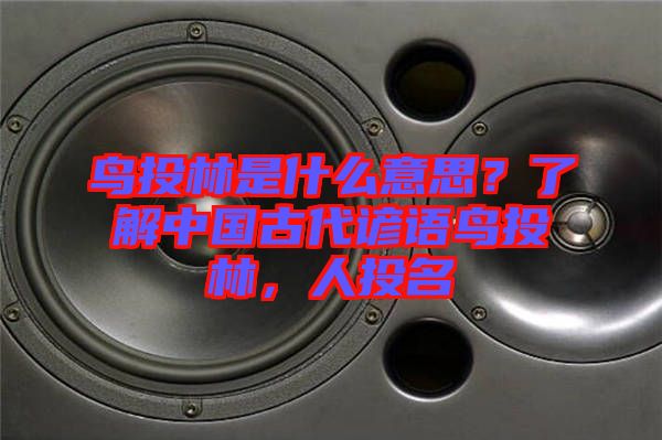 鳥(niǎo)投林是什么意思？了解中國(guó)古代諺語(yǔ)鳥(niǎo)投林，人投名
