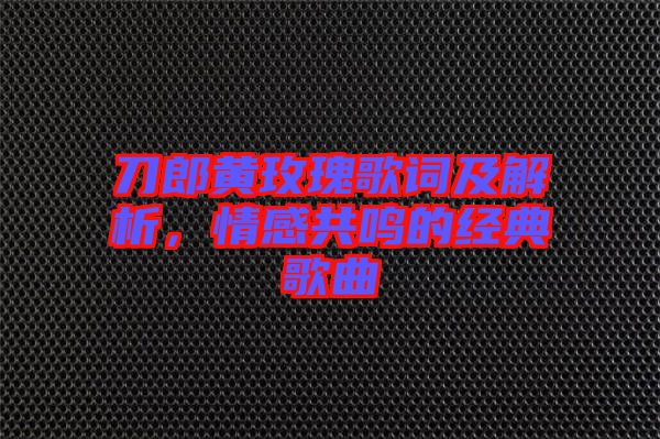 刀郎黃玫瑰歌詞及解析，情感共鳴的經(jīng)典歌曲