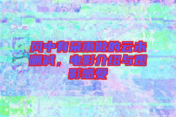 風(fēng)中有朵雨做的云未刪減，電影介紹與觀影感受