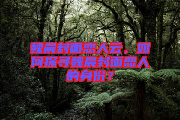 魏晨封面戀人云，如何探尋魏晨封面戀人的身份？
