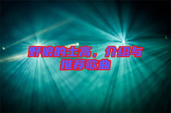 野狼的士高，介紹與推薦歌曲