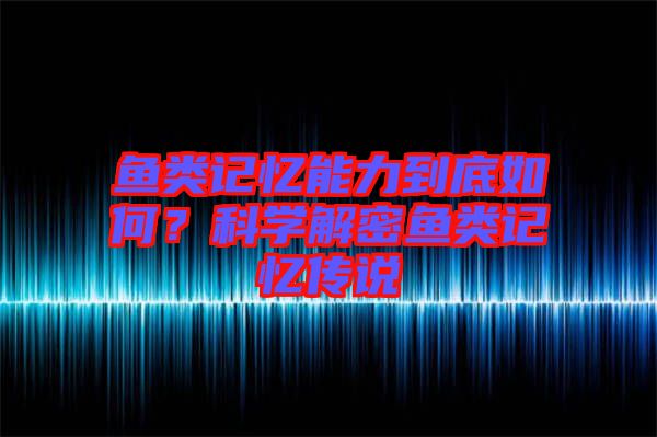 魚類記憶能力到底如何？科學(xué)解密魚類記憶傳說