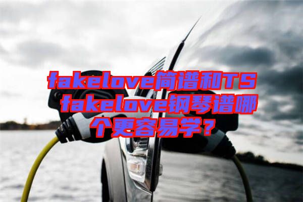 fakelove簡(jiǎn)譜和TS fakelove鋼琴譜哪個(gè)更容易學(xué)？