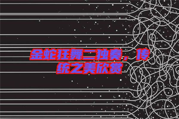 金蛇狂舞二獨奏，傳統(tǒng)之美欣賞