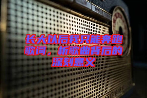 長(zhǎng)大以后我只能奔跑歌詞，析歌曲背后的深刻意義
