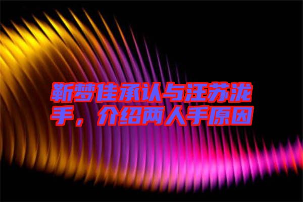 靳夢佳承認(rèn)與汪蘇瀧手，介紹兩人手原因