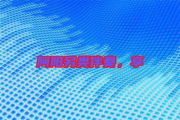 阿陽另類伴奏，享
