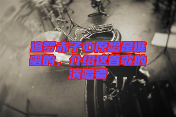 追夢(mèng)赤子心原唱是誰唱的，介紹這首歌的演唱者